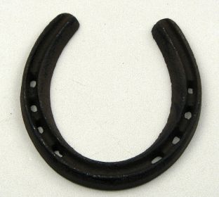 Medium Horse Shoe Set of 10